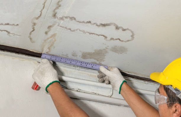 Affordable Water Damage Repair solutions in Decker, MI